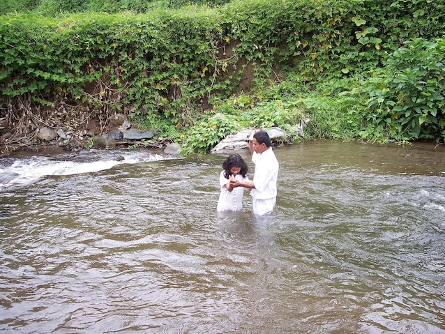 Mormone du baptême (Wikimedia Commons)