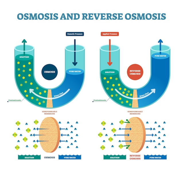 osmose directe et inverse