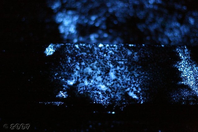 plancher de luminol sanguin
