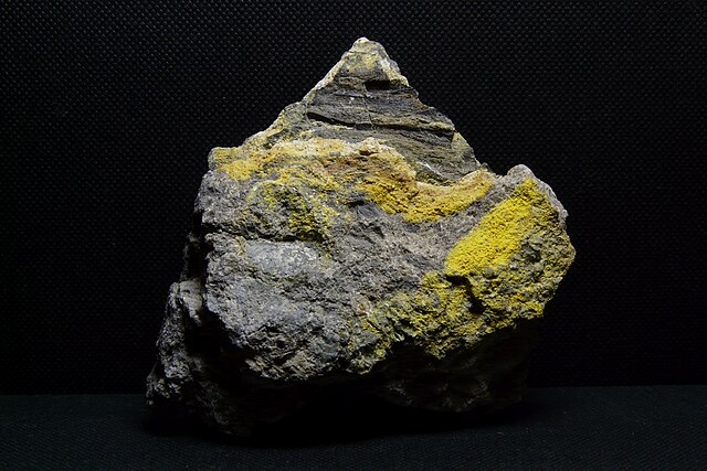 Roche d'uranite trouvée à Cigar Lake, la plus grande mine d'uranium au monde. Crédit : via Wikimedia Commons