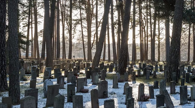 Cimetière dans les bois