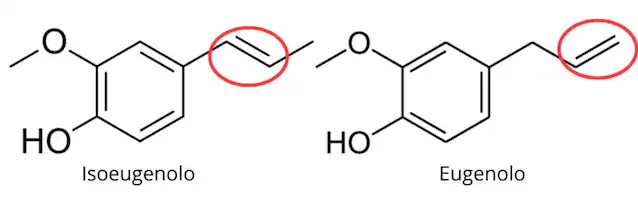 eugénol et isoeugénol