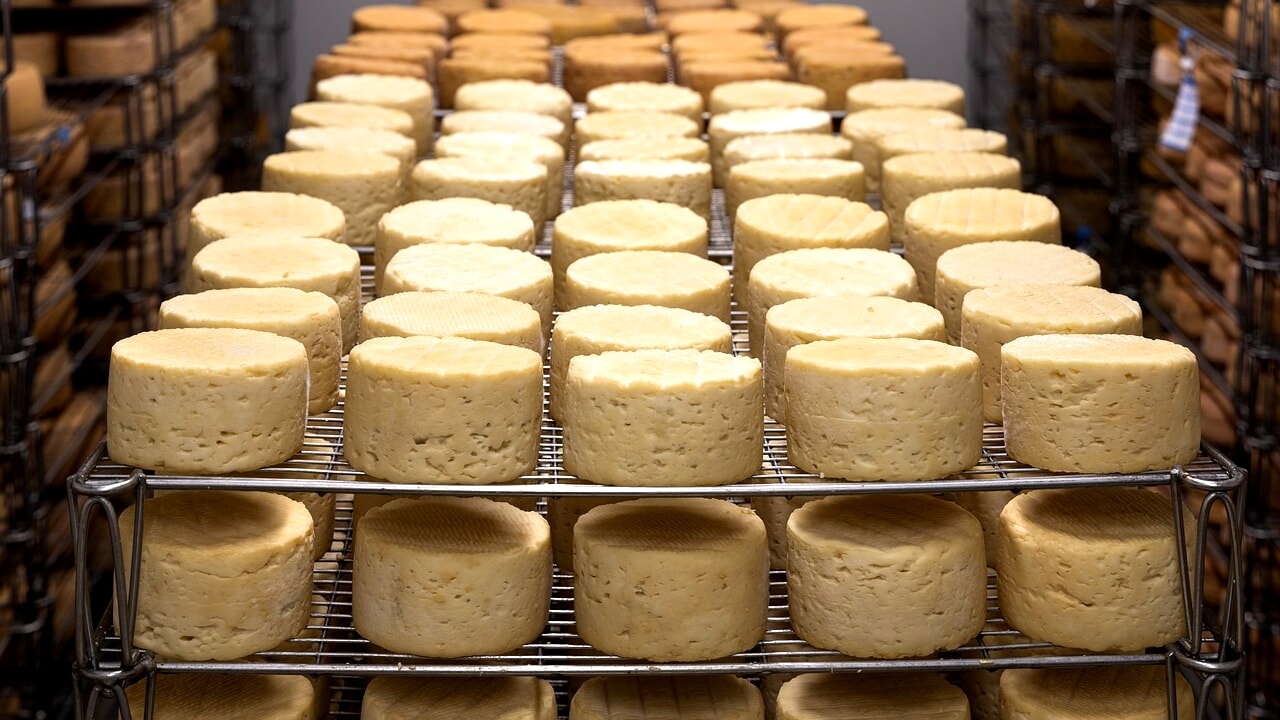 Droits sur le fromage et le lait, la Chine annonce de nouveaux tarifs sur les produits laitiers européens : quelles entreprises sont concernées (dont italiennes)