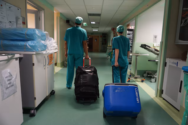 transport de transplantation d'organes