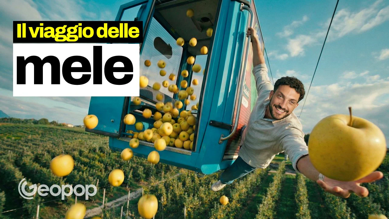 Pourquoi y a-t-il des pommes toute l'année ? Le secret est dans la conservation