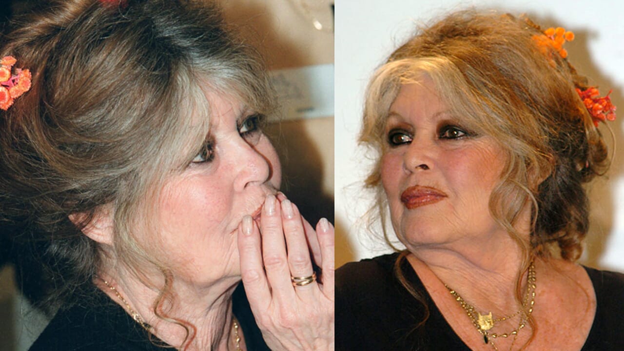 De Baudo-Bardot à Del Vecchio, l'aimant irrésistible des héritages VIP