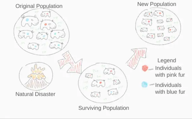 effet de goulot d'étranglement