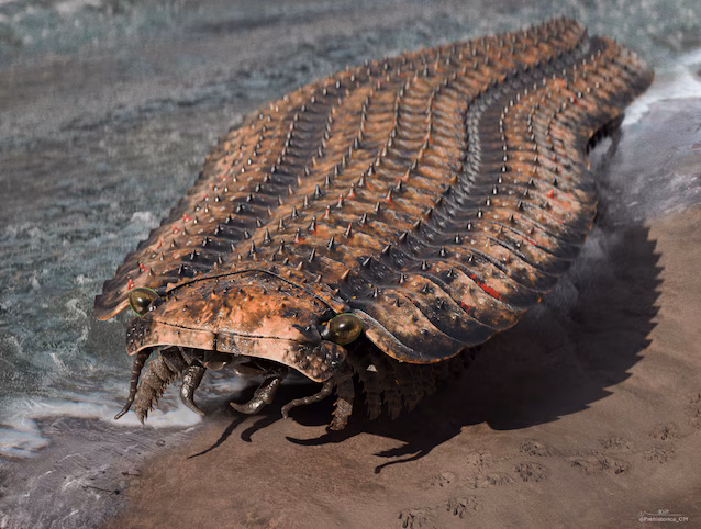 Reconstruction arthropleurale