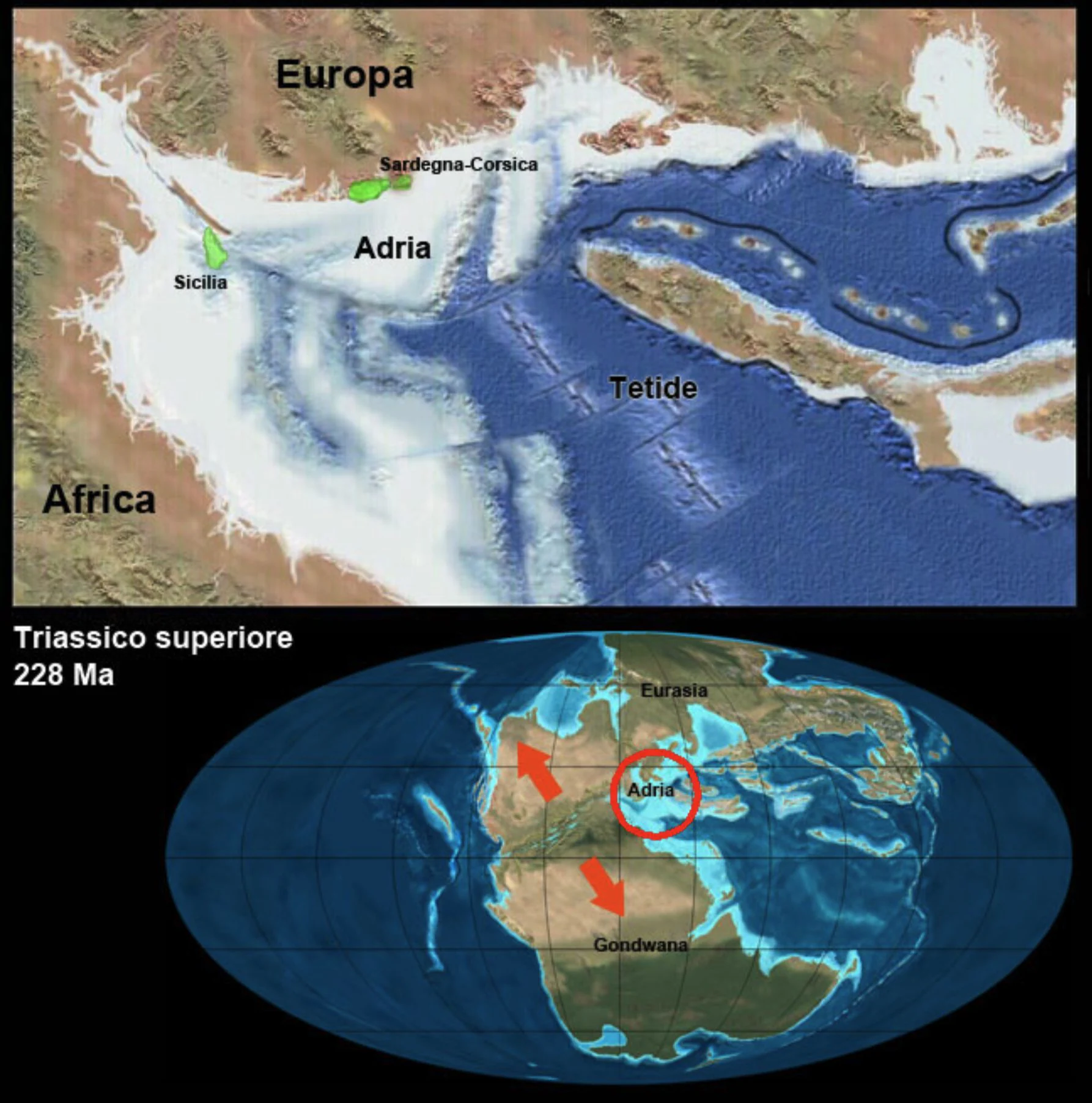 un voyage de 250 millions d'années