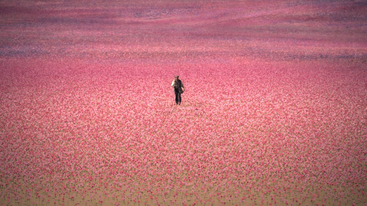 La Maison des Esprits, la date de sortie de la série inspirée du chef-d'œuvre d'Isabel Allende a été dévoilée