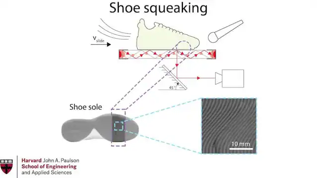 expérience de chaussures de basket-ball chema