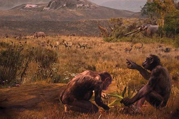 La race humaine serait-elle née en Europe ? Clarifions le cas de Graecopithechus freybergi