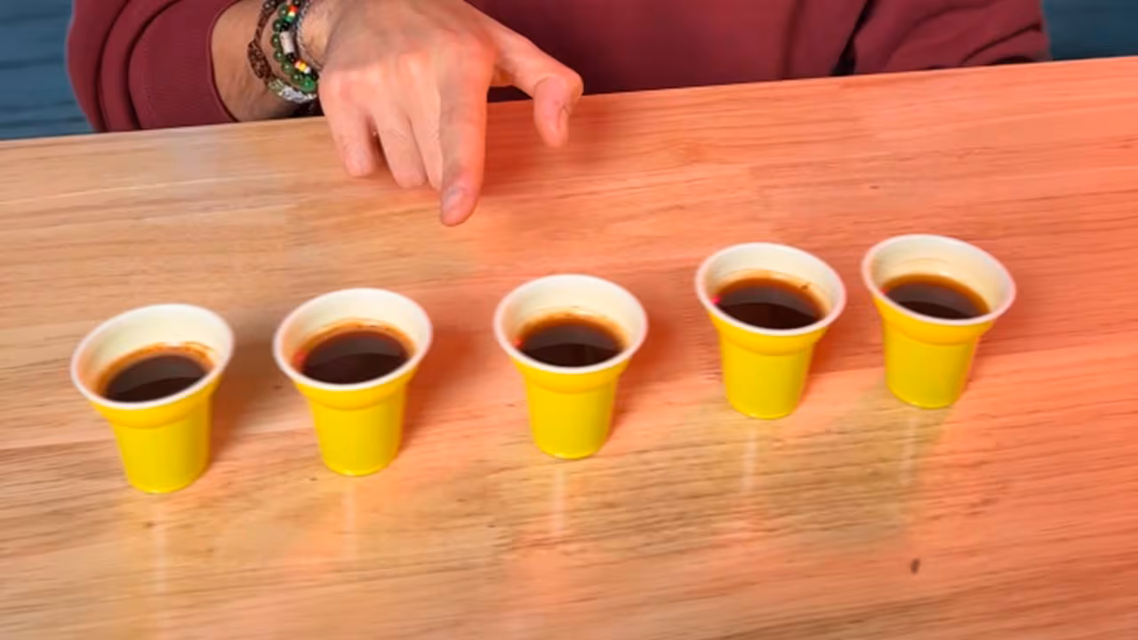 Combien de cafés pouvons-nous boire par jour selon la science : données de l'EFSA