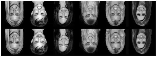 étude de l'effet Thatcher