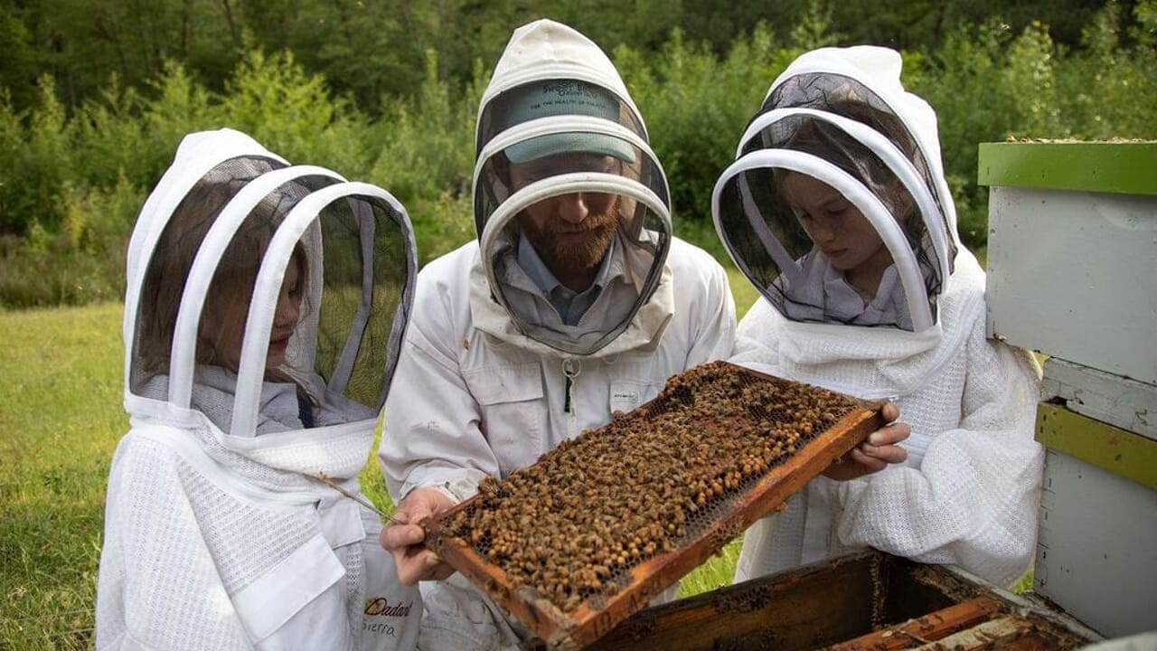 James Cameron, Bertie Gregory et National Geographic racontent Les secrets de l'abeille sur Disney+