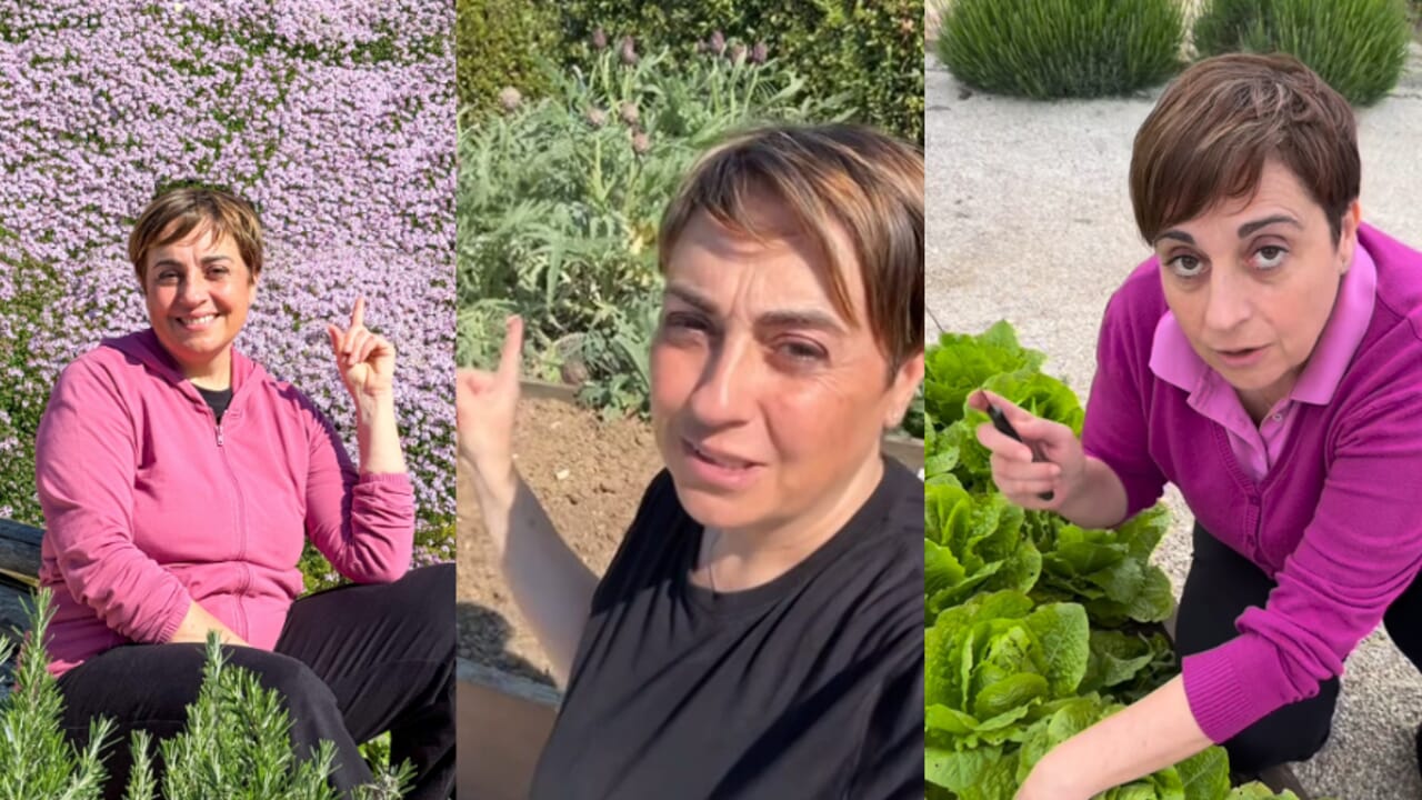 Au revoir chef, les agriculteurs sont aux commandes maintenant : parce que je "influenceur de jardin" ce sont les nouvelles stars (comme le démontre Benedetta Rossi)