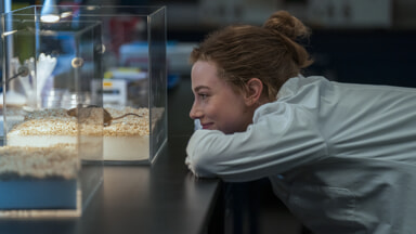 Prime Video - L'hypothèse de l'amour Le théorème de l'amour - photo 2