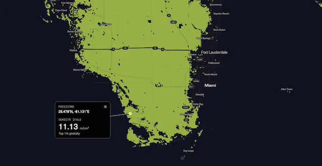 champignons des Everglades