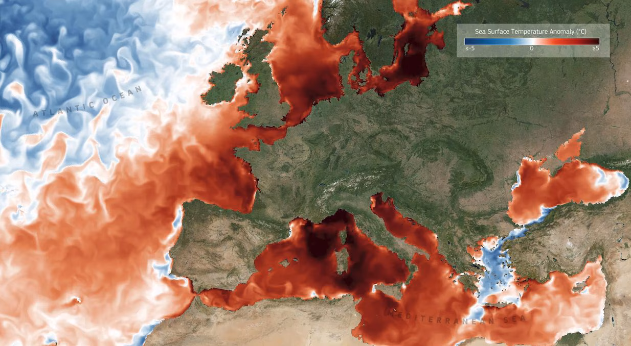 Températures record pour les océans, atteignant 21°C en juin avec risque de hausse : données Copernicus