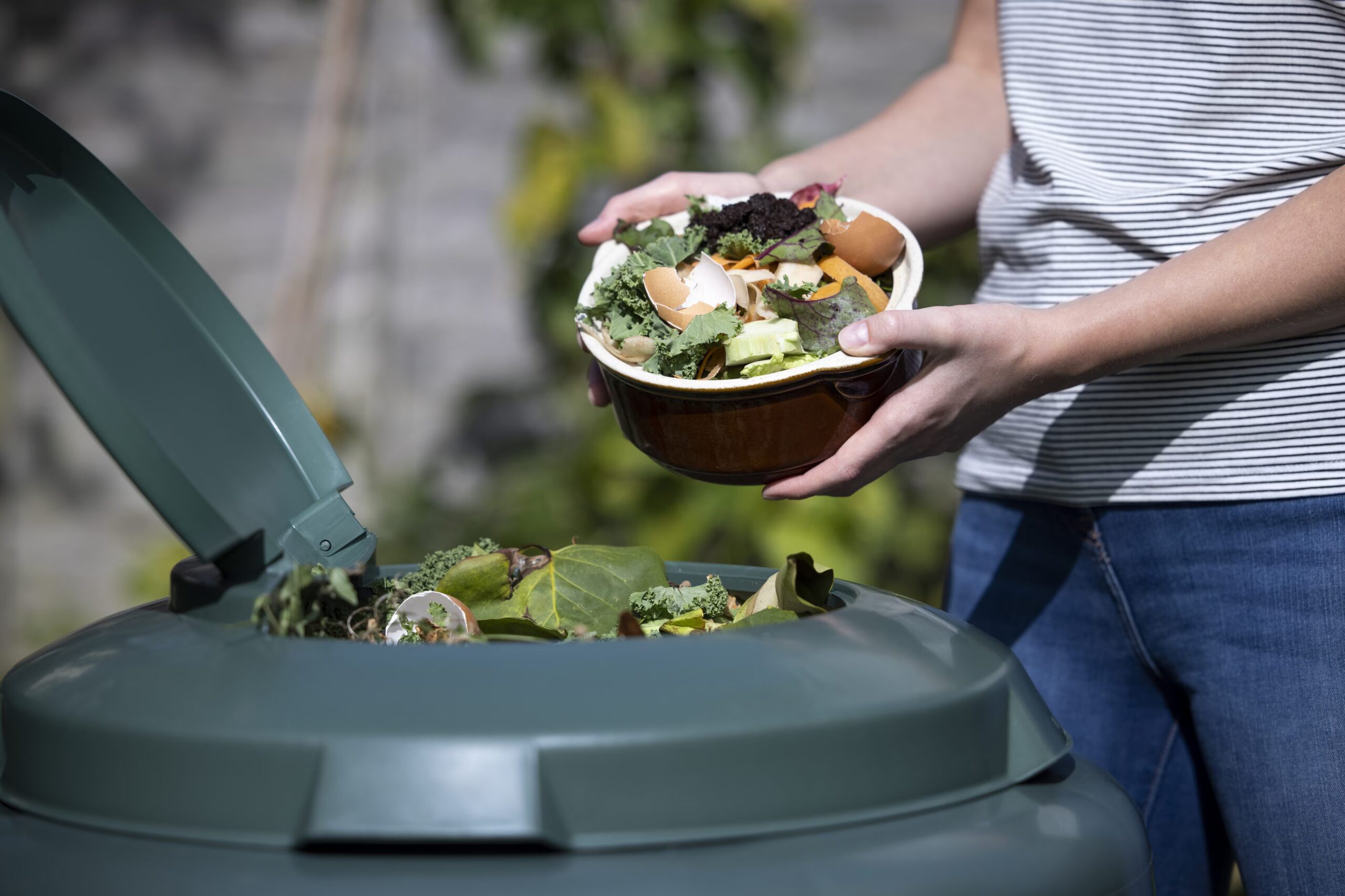 Qu'est-ce que le compost : comment est-il obtenu à partir de déchets organiques et à quoi sert-il en jardinage