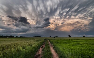 5 types de nuages ​​aux formes les plus rares et les plus belles, comment ils se forment : du lenticulaire au mammatus