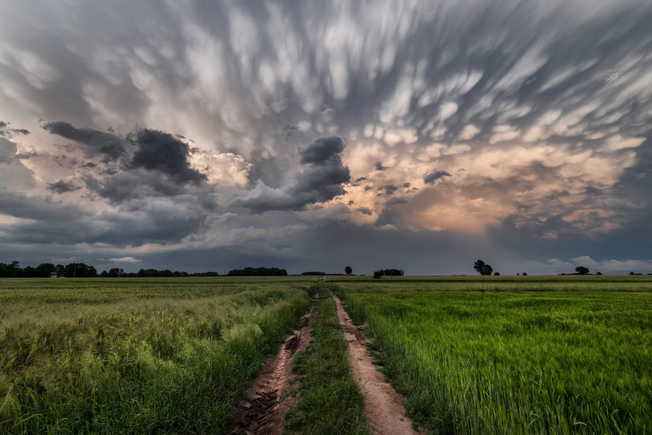 5 types de nuages ​​aux formes les plus rares et les plus belles, comment ils se forment : du lenticulaire au mammatus