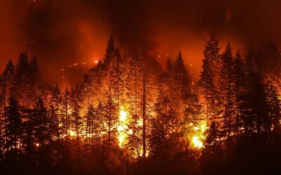 Incendies en Italie 2026, +26% de surfaces brûlées par rapport à la moyenne : la situation aujourd&rsquo;hui et les zones les plus touchées