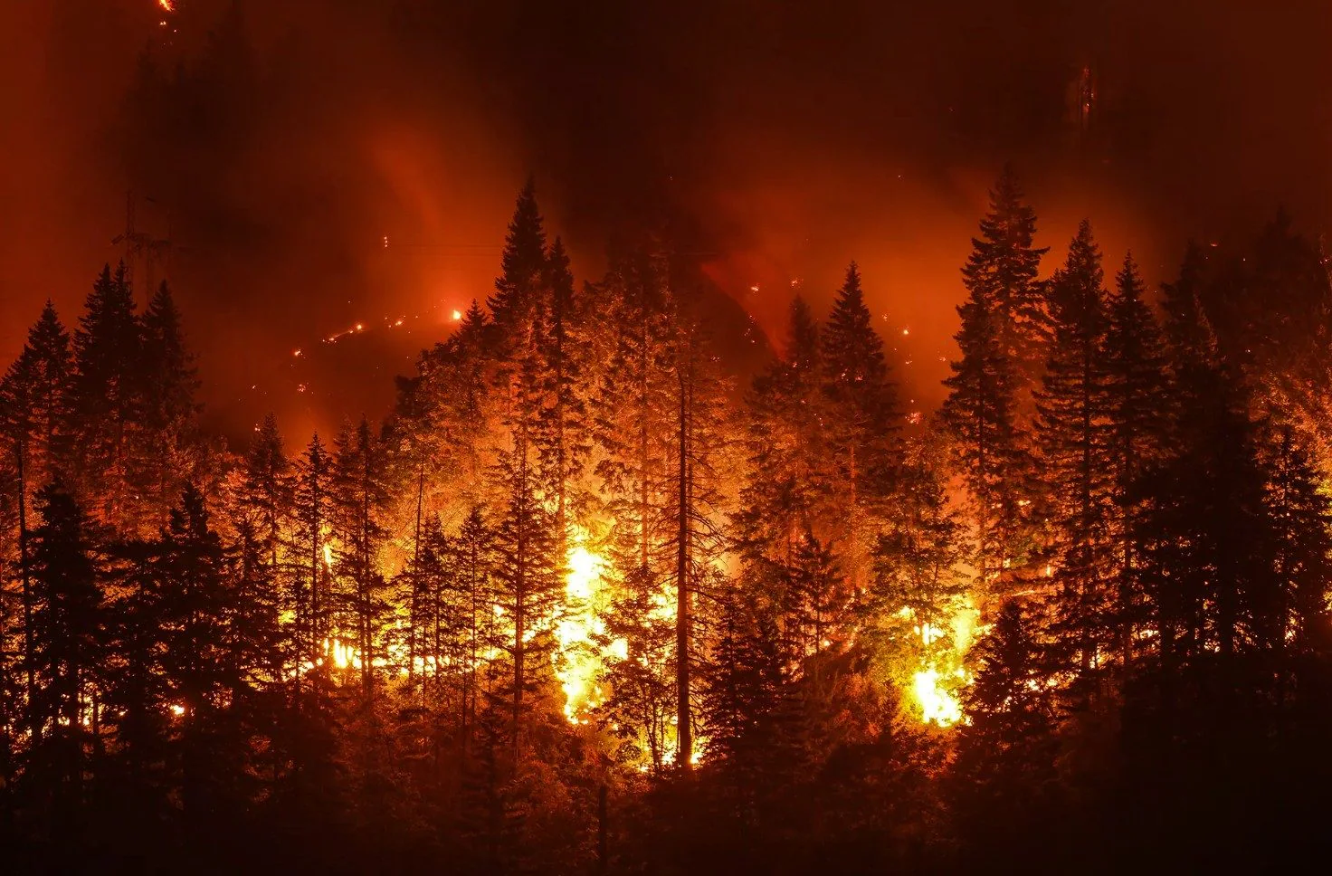 Incendies en Italie 2026, +26% de surfaces brûlées par rapport à la moyenne : la situation aujourd'hui et les zones les plus touchées