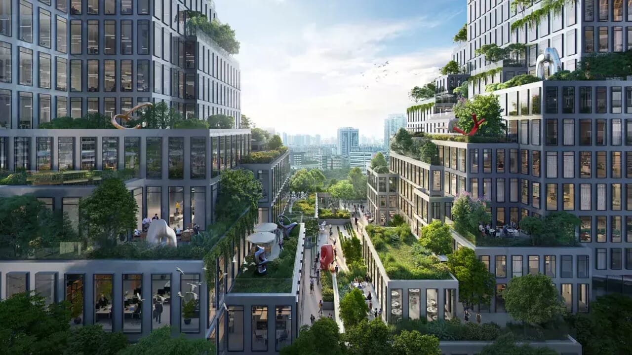Intégrer la nature dans les quartiers pour créer des villes durables (et fonctionnelles)