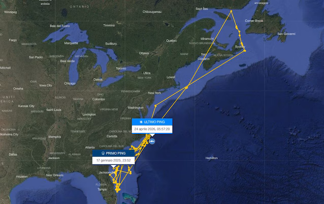 traqueur de carte de concurrent de requin