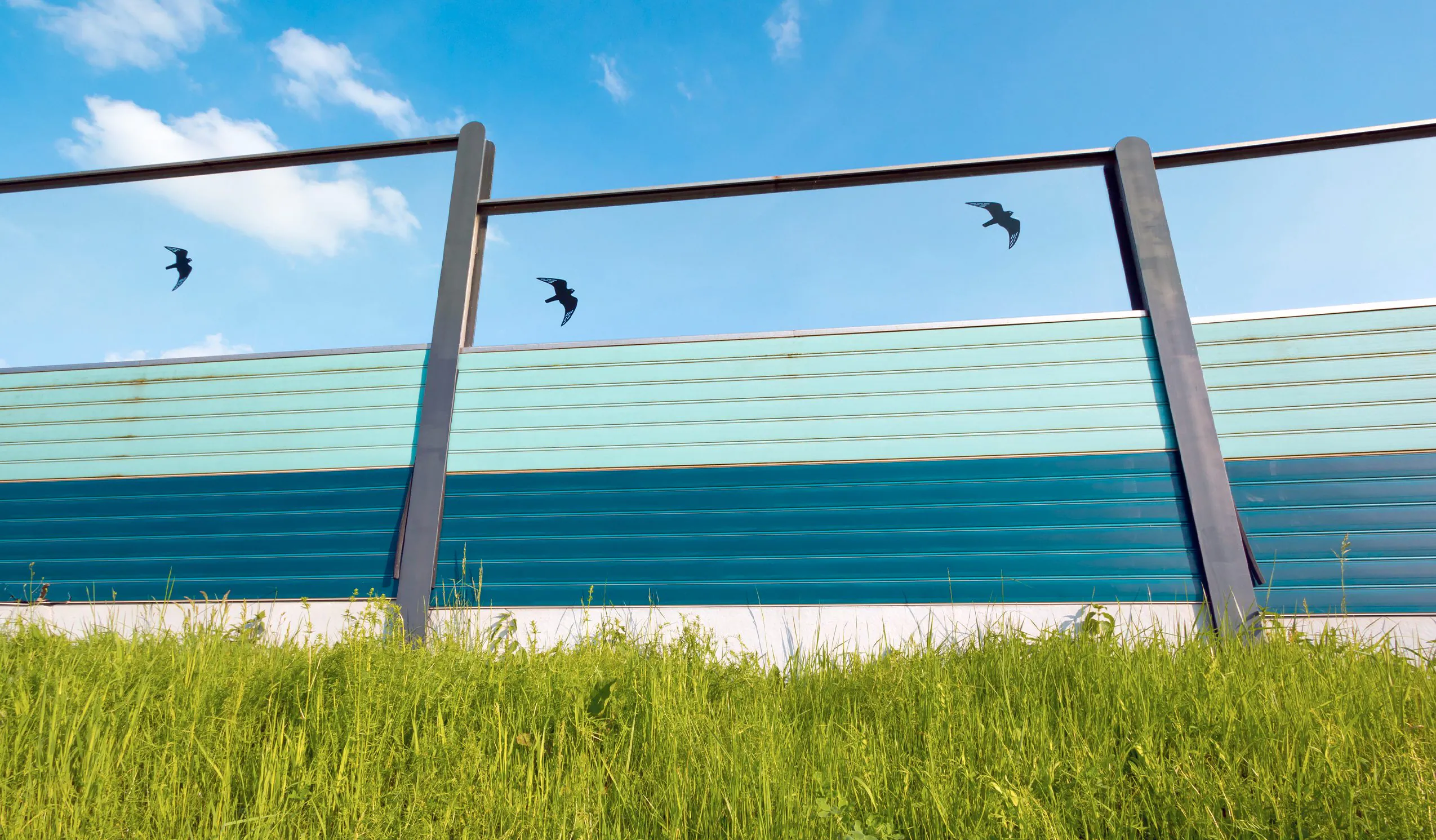 Pourquoi y a-t-il des silhouettes noires d'oiseaux sur les barrières vitrées de l'autoroute : que sont-ils censés faire ?