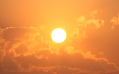 Au Japon, un nouveau mot est né pour désigner la « chaleur cruelle » au-dessus de 40°C : qu&rsquo;est-ce que Kokushobi