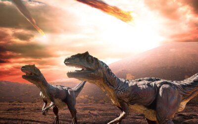 L&rsquo;astéroïde qui a anéanti les dinosaures et 75 % des espèces venait d&rsquo;au-delà de Jupiter : une chondrite rare