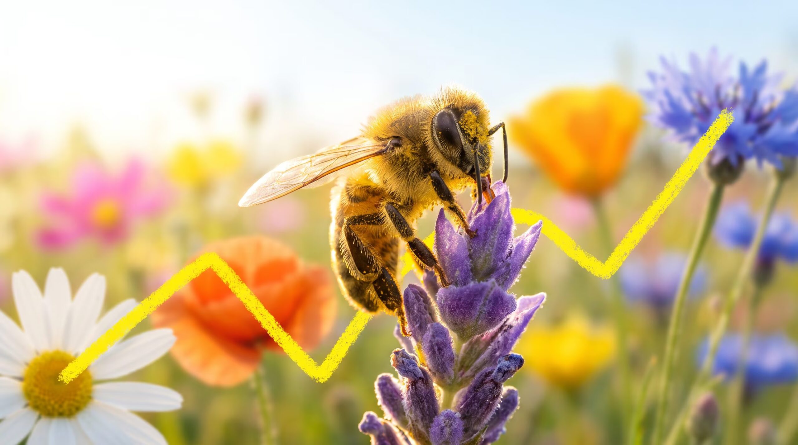 Les abeilles et le champ magnétique terrestre : la découverte de la possible boussole interne chez 74 espèces