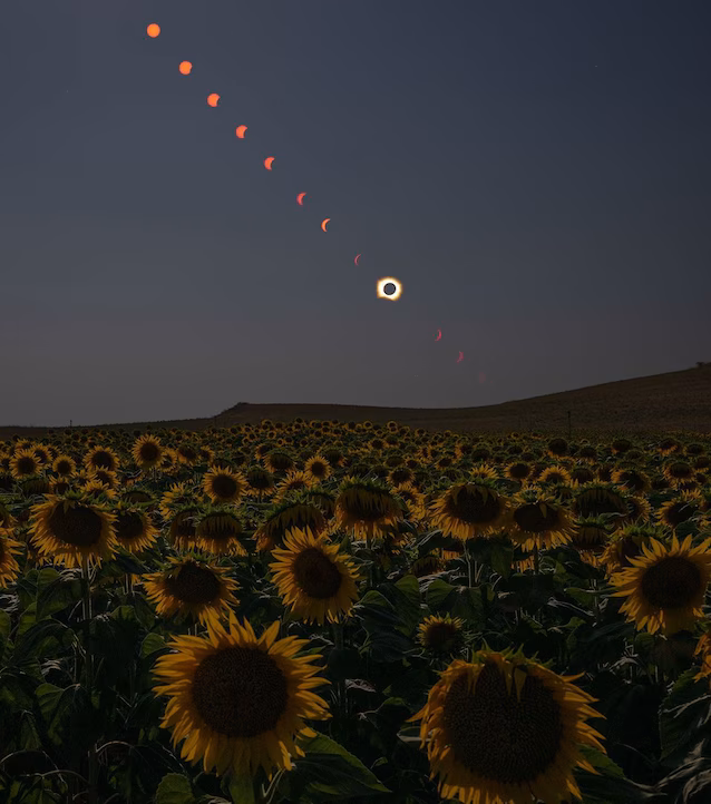 progression de l'éclipse