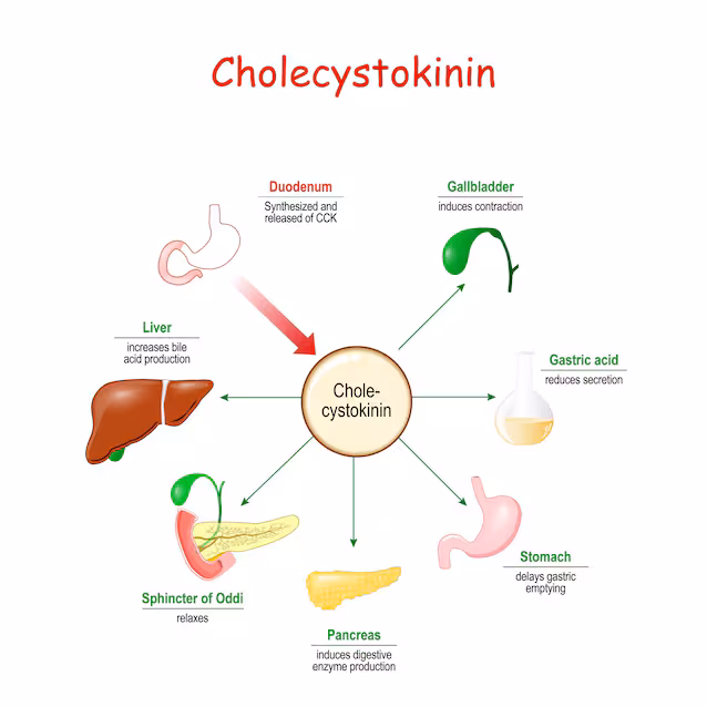 cholécystokinine