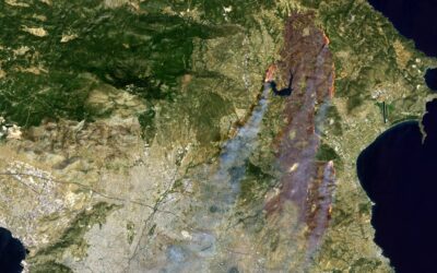Les incendies brûlent 585 mille hectares en Europe : l&rsquo;étude sur les infrasons pour prévenir les incendies de forêt