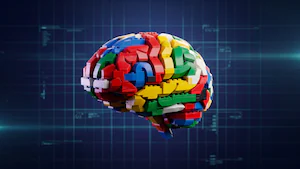 visuel clé pour le cerveau en pleine croissance