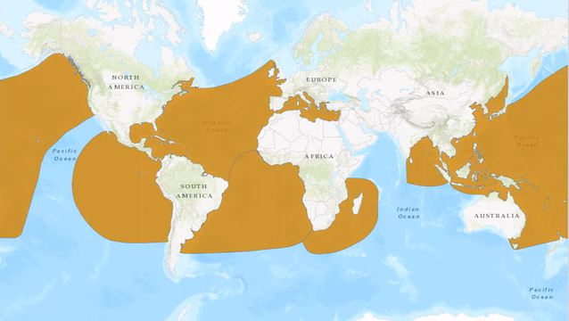 aire de répartition de la tortue luth