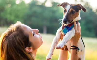 Parce qu&rsquo;on parle aux chiens et aux chats comme s&rsquo;ils étaient des nouveau-nés : le cerveau les perçoit comme vulnérables