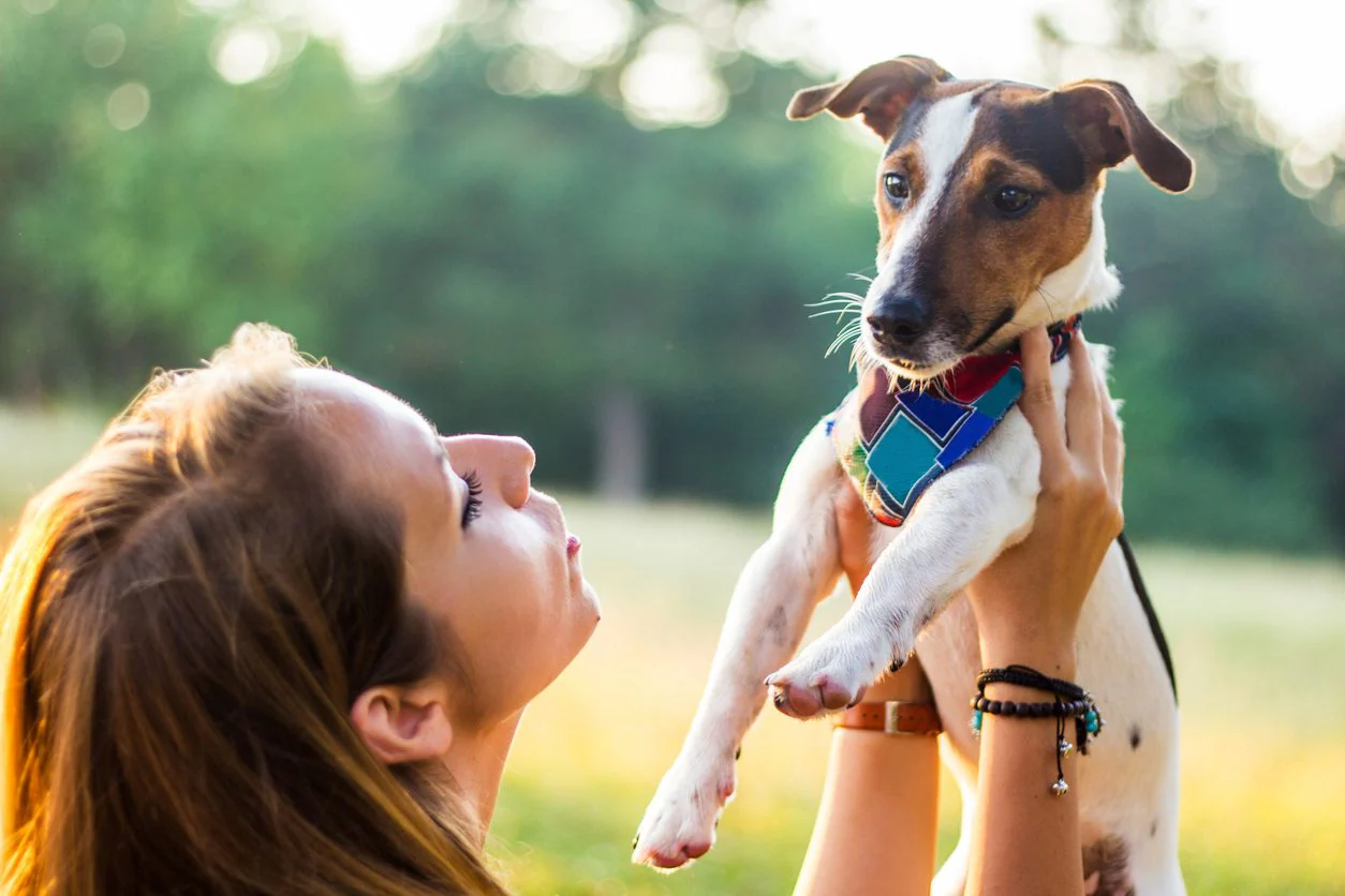 Parce qu'on parle aux chiens et aux chats comme s'ils étaient des nouveau-nés : le cerveau les perçoit comme vulnérables