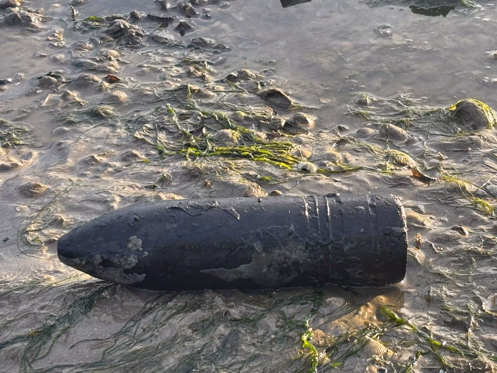 Une balle de la Seconde Guerre mondiale réapparaît de la mer en Angleterre : elle est intacte et mesure 15 cm