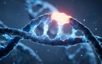 Des X-Men à la réalité : comment surviennent réellement les mutations spontanées de notre ADN