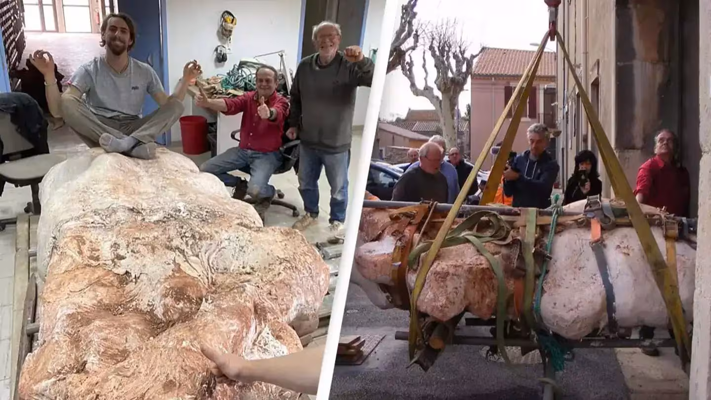 Le squelette d'un titanosaure fossilisé presque entier, de 10 m de long, découvert par hasard en France