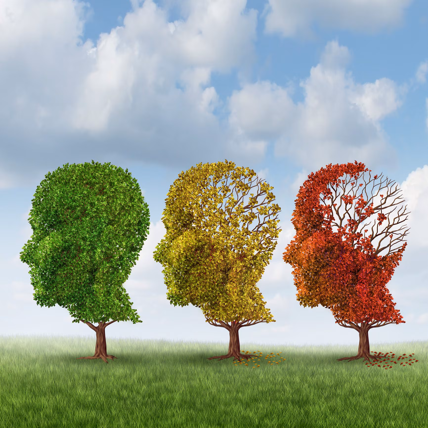La première carte moléculaire qui suit l'évolution des neurones avec le vieillissement : le tournant à 24 ans