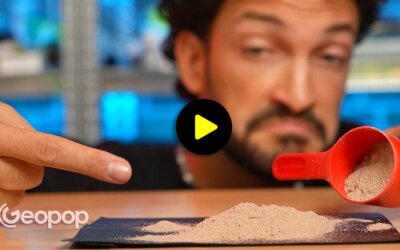 Les protéines en poudre, à quoi ça sert vraiment ? Comment ils sont produits et contre-indications