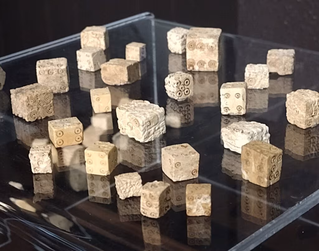 Plus de 1 000 dés de jeu en os découverts en France dans la cité gallo-romaine de Grand