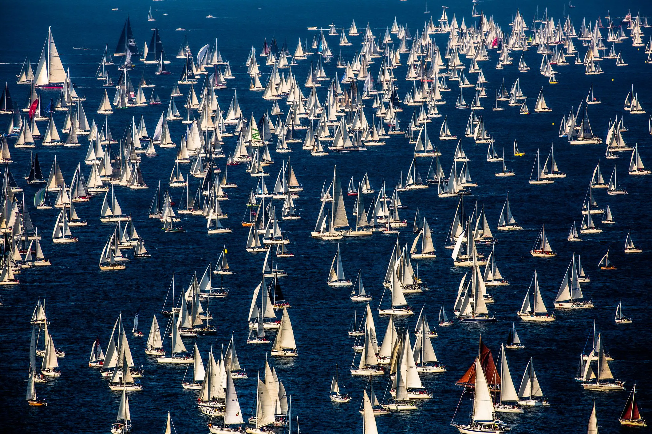 Barcolana 58 à Trieste : le programme et comment fonctionne la plus grande régate de voile au monde