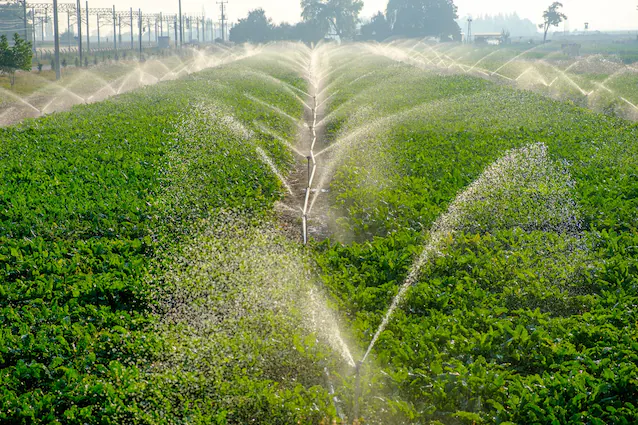 L'utilisation de l'eau en agriculture.