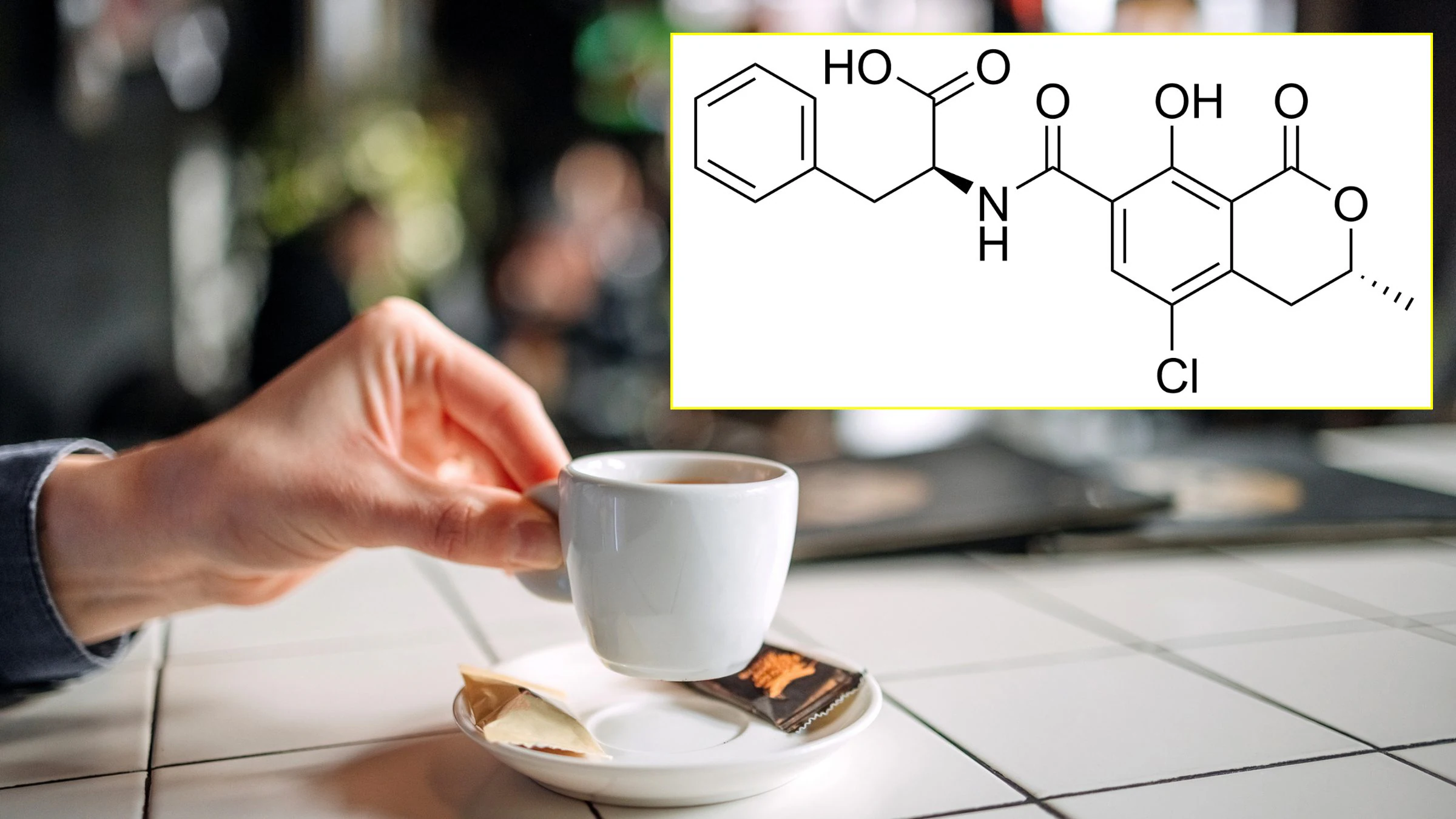 Qu'est-ce que l'ochratoxine A, la mycotoxine produite par des champignons pouvant contaminer le café